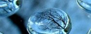 SEMPRE più a FONDO nell'ACQUA