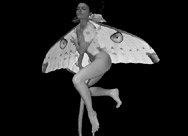 LA nuova STORIA dell'EVOLUZIONE