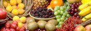 GENI e NUTRIZIONE