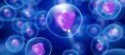 Cellule innamorate. Il pensiero di Bruce Lipton sull'amore Cellule innamorate. Il pensiero di Bruce Lipton sull'amore