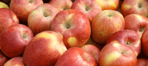 Aceto di mele: scopri perché fa bene alla tua salute