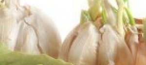 Nutraceutica: inserire nella dieta “supercibi” che combattono il cancro