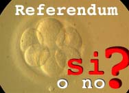 Referendum e Fecondazione Assistita