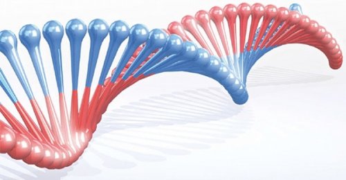 I biofotoni e la scienza della vita