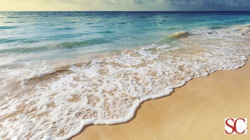 Blue Mind: il legame scientifico tra acqua e felicità