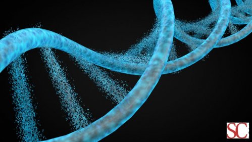 Che cos'è la vita? Dalle intuizioni di Schrödinger alla scienza della complessità