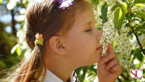 Il Ritorno alla Natura Guarisci  con la Coscienza Universale!