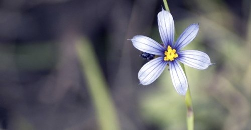 I migliori integratori contro il Coronavirus