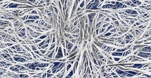 Microtubuli e coscienza
