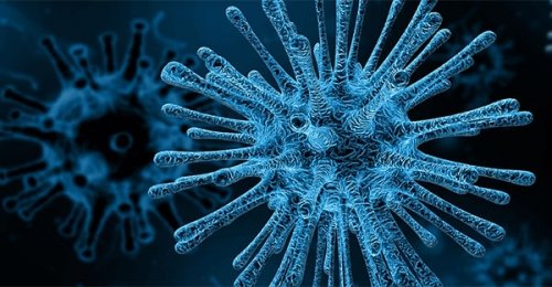 Il virus della mononucleosi può riattivarsi?
