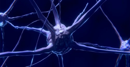 Epigenetica e controllo della mente sui nostri geni