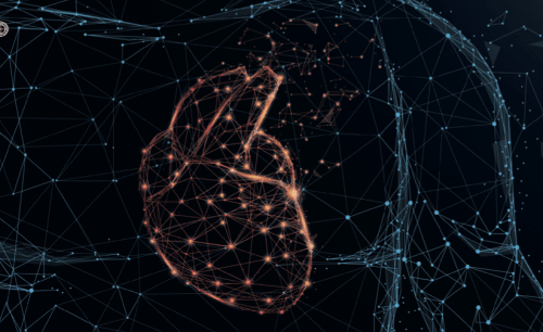 L'intelligenza intuitiva dal Cuore