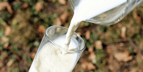 Latte vegetale: dalla pianta al tuo bicchiere