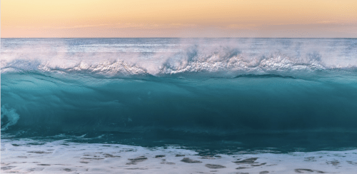 Curarsi con l'acqua di mare: le scoperte di René Quinton