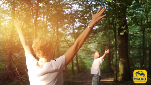 Il bagno nella foresta: quando la natura diventa medicina per mente e corpo