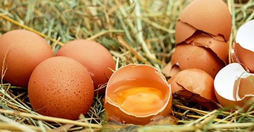 Le uova sono un super alimento: ce lo spiega la dottoressa Debora Rasio