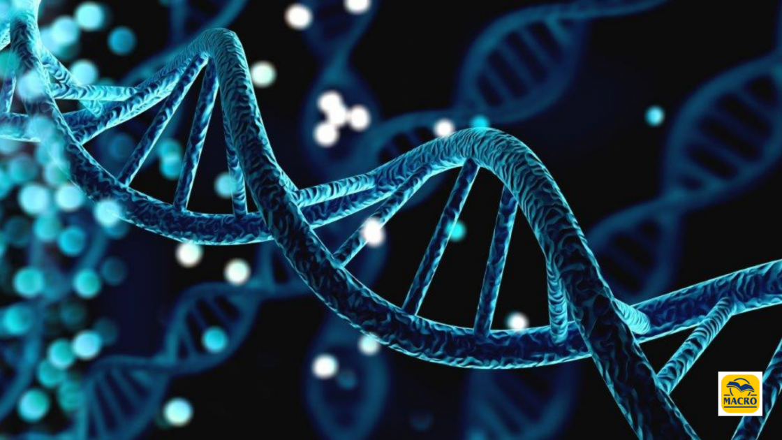 Le Chiavi Genetiche: uno strumento per comprendere l’umanità di oggi