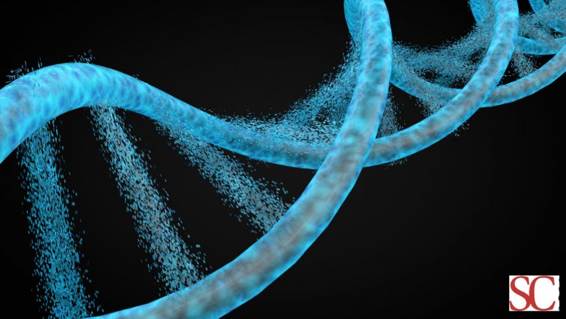 Che cos'è la vita? Dalle intuizioni di Schrödinger alla scienza della complessità