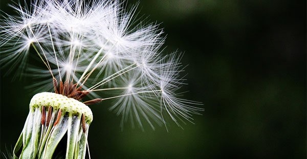 Scopri le tre leggi fondamentali dell’universo: per vivere nell'amore e nella gratitudine