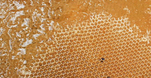 Sinusite: curala con il miele di Manuka