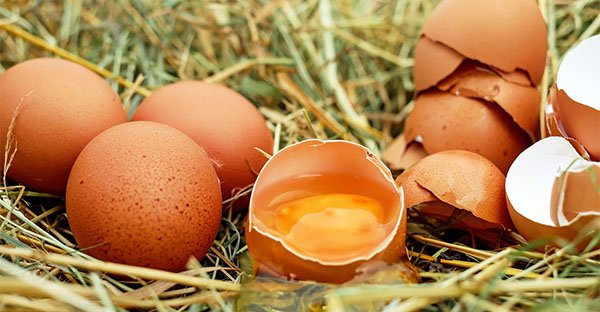Uova e colesterolo: sfatiamo un mito