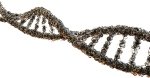 Tecnologia 5G: modifica il nostro DNA risuonando con le sue strutture frattali