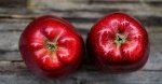 Dieta Fuhrman: perché consumare alimenti vegetali?
