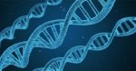 Epigenetica: andare oltre il DNA
