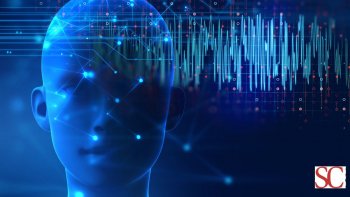 Riprogrammare il cervello: la neuroplasticità spiegata semplice