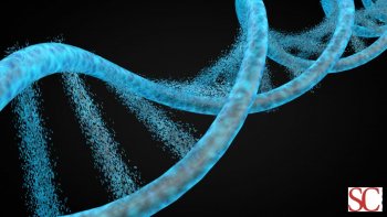 Che cos'è la vita? Dalle intuizioni di Schrödinger alla scienza della complessità