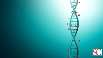 Epigenetica: il linguaggio della Vita oltre i geni