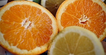 Vitamina C ad alte dosi e Covid-19: il nuovo libro di Domenico Mastrangelo