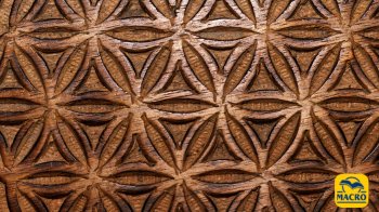 La geometria sacra della natura: quando la forma diventa linguaggio