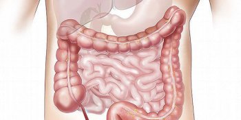 Intestino: secondo cervello