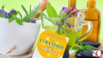 Medicina naturale per la mente: il ritorno alla fitoterapia scientifica