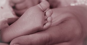 Pelle: come si sviluppa durante la vita uterina?