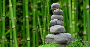 PNEI (psiconeuroendocrinoimmunologia): la visione occidentale della relazione mente-corpo