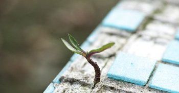 Quello che il tuo medico non dovrebbe mai dirti