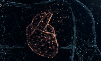 L'intelligenza intuitiva dal Cuore