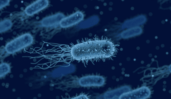 Cosa sono i micro organismi effettivi?