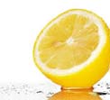 Corso: LA NUOVA BIOLOGIA DELLA SALUTE