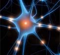 III Congresso di Fisica e Medicina Quantistica.  Il Dialogo tra le Cellule