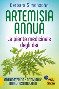 Artemisia Annua