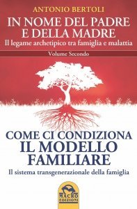 In nome del padre e della madre: Come ci Condiziona il Modello Familiare USATO - Volume 2