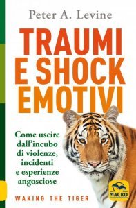 Traumi e Shock Emotivi USATO - Libro
