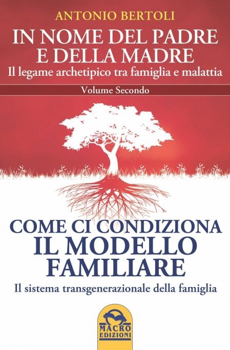 Come ci Condiziona il Modello Familiare USATO - Libro