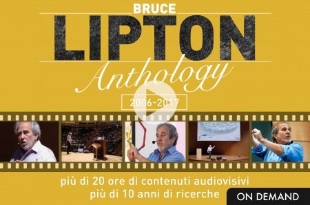 Lipton Anthology - On Demand